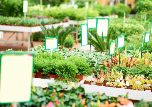 Selecting the Right Plants for Port Orchard's Climate